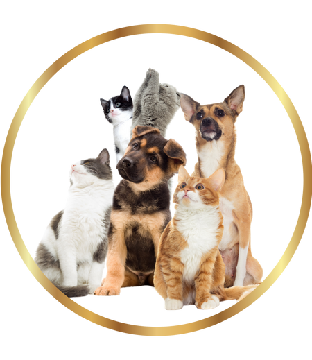 Pets